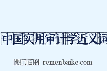 中国实用审计学近义词是什么意思的图片